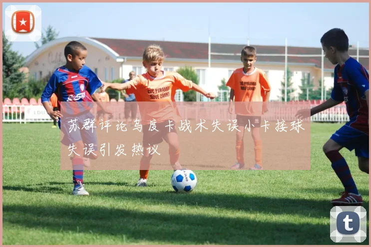 苏群评论乌度卡战术失误小卡接球失误引发热议