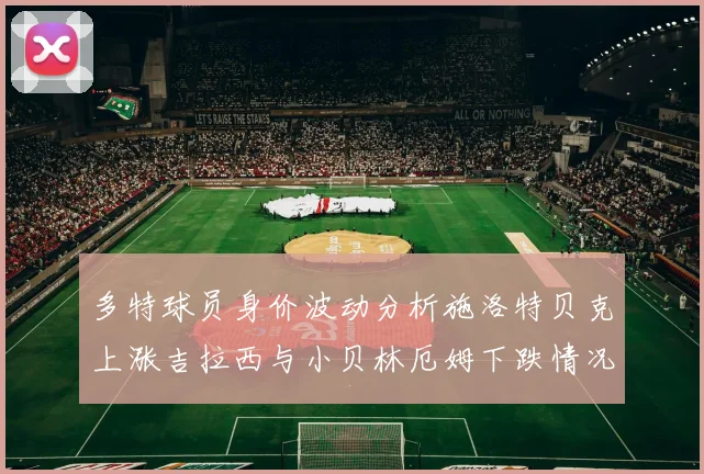多特球员身价波动分析施洛特贝克上涨吉拉西与小贝林厄姆下跌情况解读