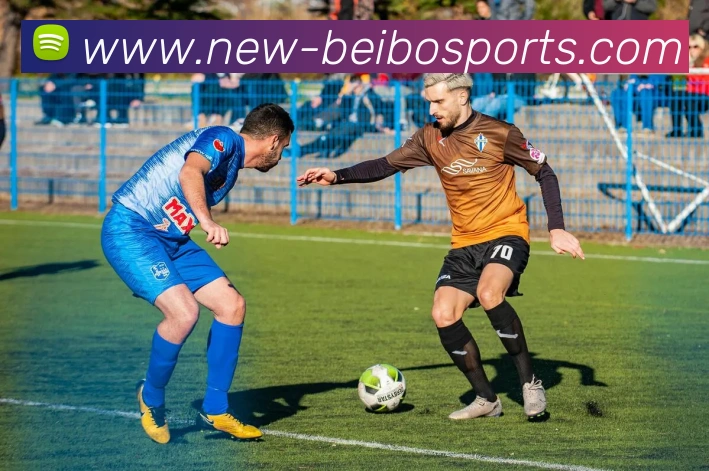 贝博体育APP 封面图