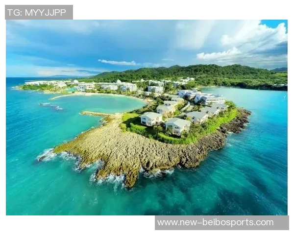 瓦塞尔计划为牙买加男篮效力2026目标直指2028年奥运会辉煌